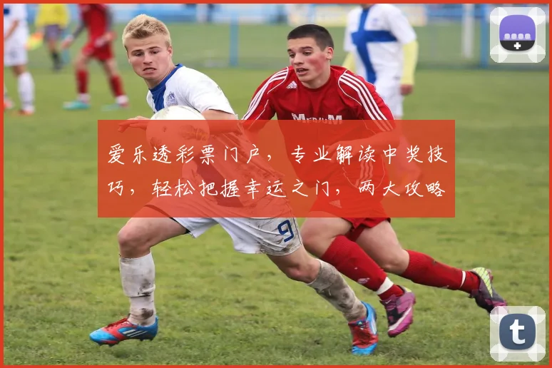 爱乐透彩票门户，专业解读中奖技巧，轻松把握幸运之门，两大攻略，助你一臂之力