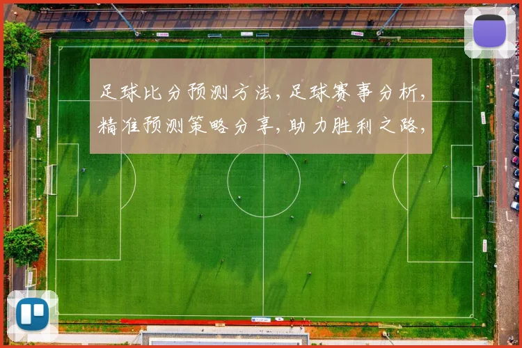 足球比分预测方法,足球赛事分析,精准预测策略分享,助力胜利之路,一招制胜