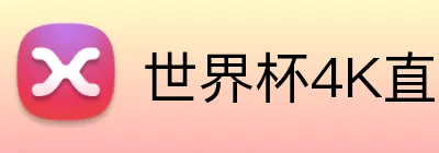 世界杯4K直播 Logo